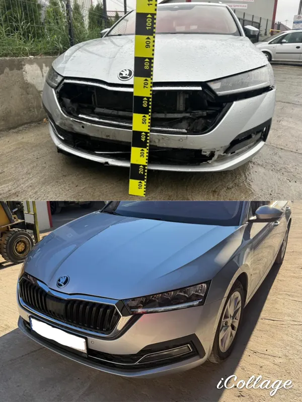 El Cartel Auto lucrare 2