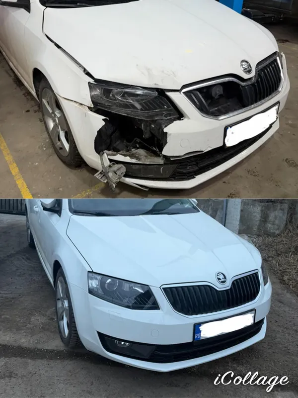 El Cartel Auto lucrare 12